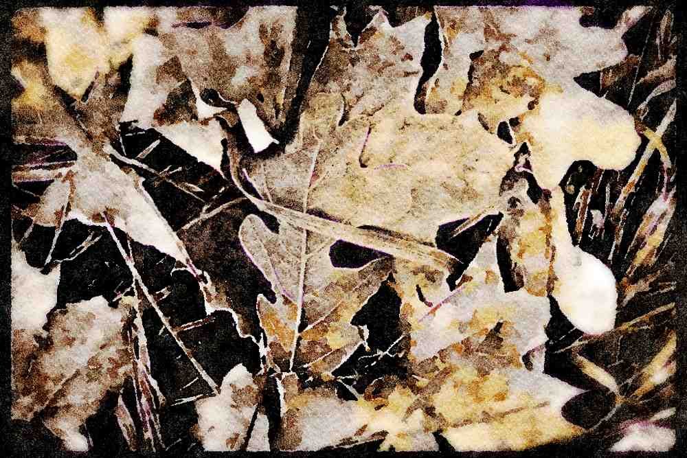199033 Fallen Leaves Covered With Frost A4 Limited Edition Watercolour Print