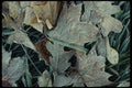199033 Fallen Leaves Covered With Frost A4 Photo Print