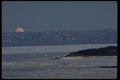 199034 Moon Rising, Frobisher Bay, N.W.T. A4 Photo Print