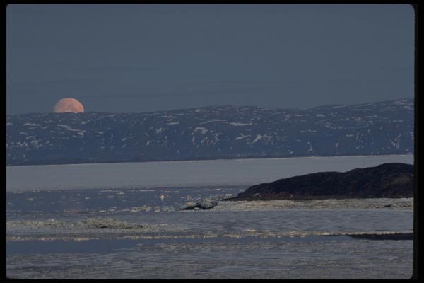 199034 Moon Rising, Frobisher Bay, N.W.T. A4 Photo Print