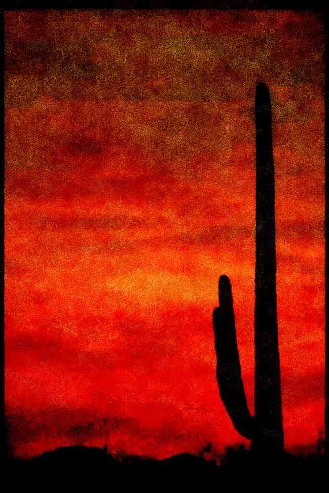 199036 Sunset, Tucson Mountain Park, Alberta A4 Limited Edition Watercolour Print