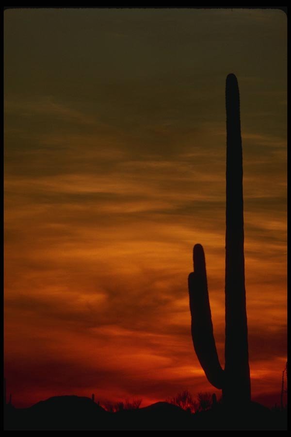 199036 Sunset, Tucson Mountain Park, Alberta A4 Photo Print