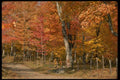 199038 Petit Riviere, St. Francois, Charlevoix, Quebec A4 Photo Print