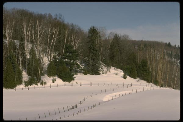 199039 Rural Quebec, Winter Near Cheneville A4 Photo Print