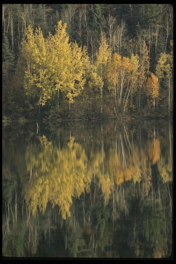 199040 St Aime Des Lacs And Petit Lac Nairn, Charlevoix, Quebec A4 Photo Print