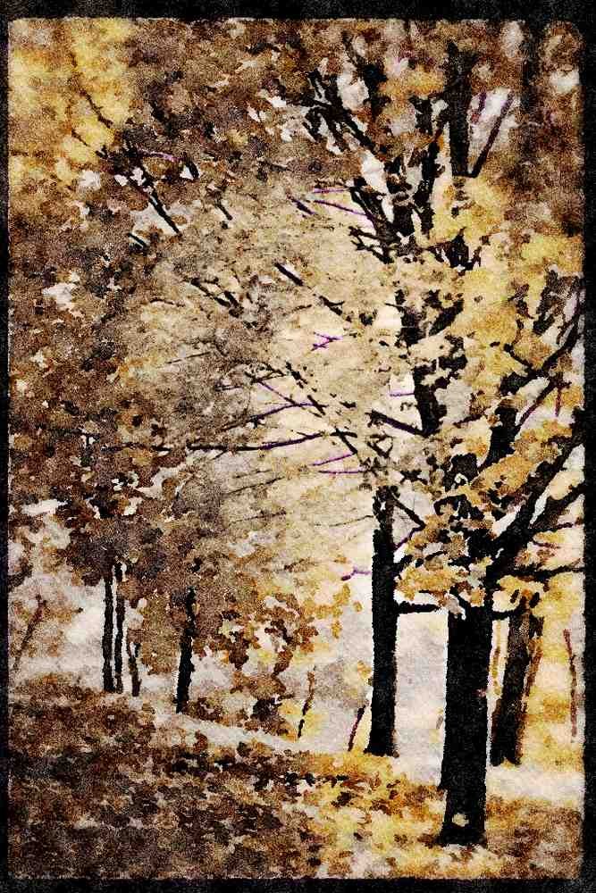 199041 Autumn Leaves, Quebec A4 Limited Edition Watercolour Print