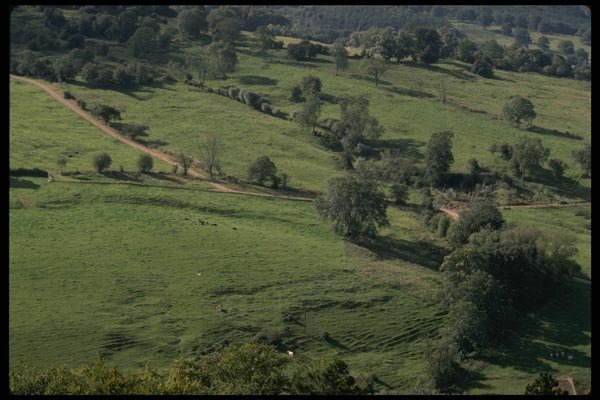199046 Hills, Gloucester Escarpment, Near Cheltenham, England A4 Photo Print
