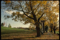 199047 Autumn Foliage And Golf Course, Magog, Quebec A4 Photo Print