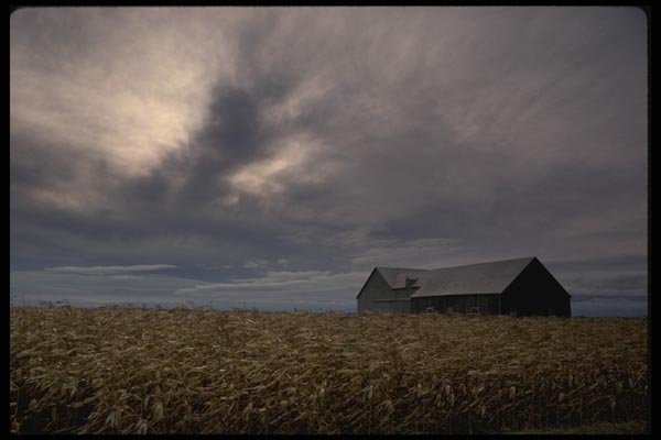 199048 Cornfield, Barn And Clouds, Quebec A4 Photo Print