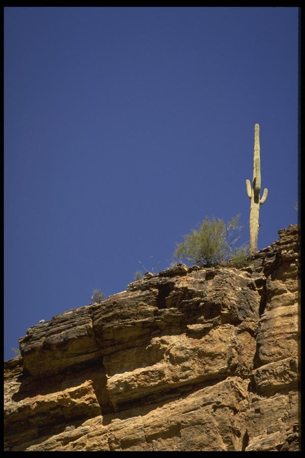 199055 Sabino Canyon Near Tucson, Alberta A4 Photo Print
