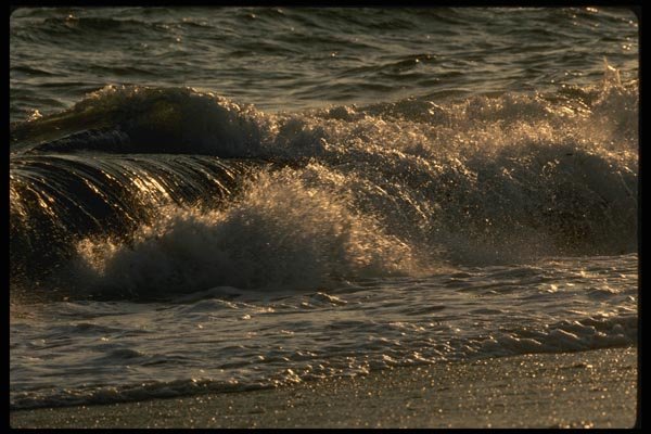 199057 Beach At Madaket, Nantucket Island, Massachusetts A4 Photo Print