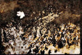 199058 Autumn Leaf Being Swept Away In Mountain River, Quebec A4 Limited Edition Watercolour Print