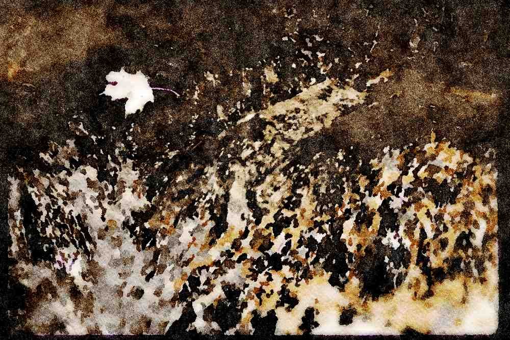 199058 Autumn Leaf Being Swept Away In Mountain River, Quebec A4 Limited Edition Watercolour Print