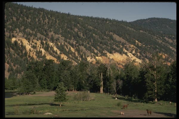 199060 Caribou Country, British Columbia A4 Photo Print