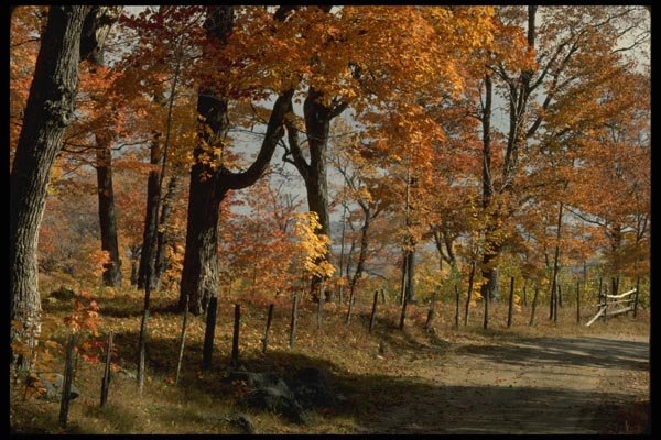 199061 Autumn, Petite Riviere St. Francois, Charlevoix, Quebec A4 Photo Print