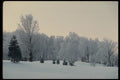 199069 Trees And Snowy Hill At Sunset, Quebec A4 Photo Print