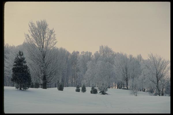 199069 Trees And Snowy Hill At Sunset, Quebec A4 Photo Print