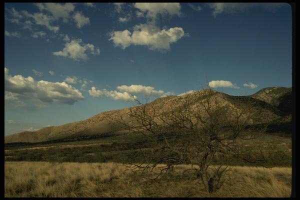 199078 Grasslands Entering Madeira Canyon, Arizona A4 Photo Print