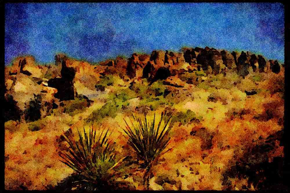 199081 Yucca, Fort Davis, Texas A4 Limited Edition Watercolour Print
