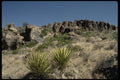 199081 Yucca, Fort Davis, Texas A4 Photo Print
