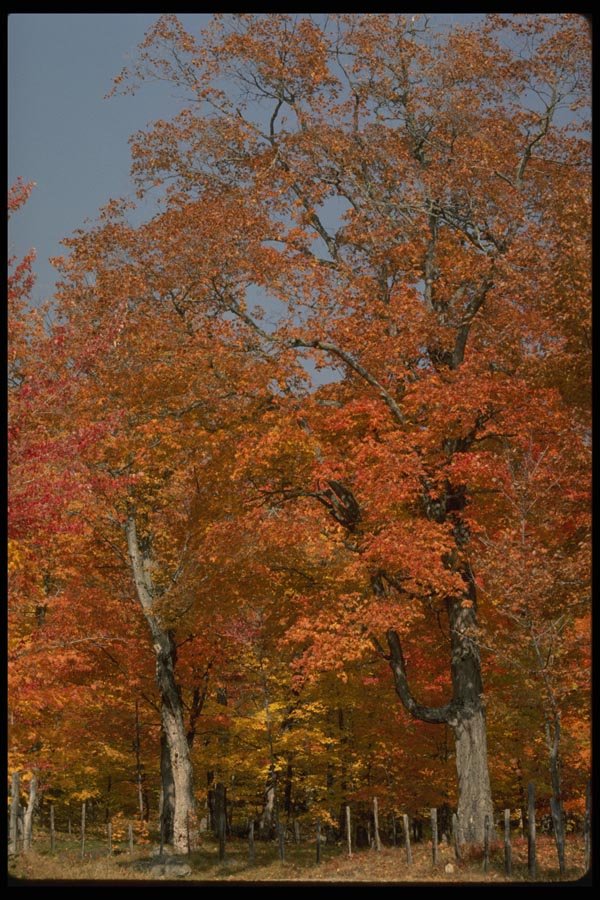 199085 Petit Riviere St. Francois, Charlevoix, Quebec A4 Photo Print