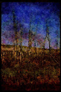 199087 Marsh, Bruce Peninsula, Ontario A4 Limited Edition Watercolour Print