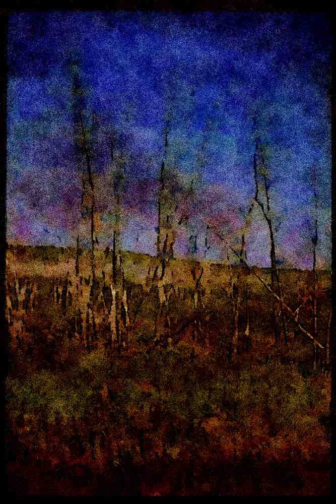 199087 Marsh, Bruce Peninsula, Ontario A4 Limited Edition Watercolour Print