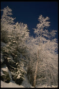 199091 Appalachian Gap, Green Mountains, Vermont A4 Photo Print