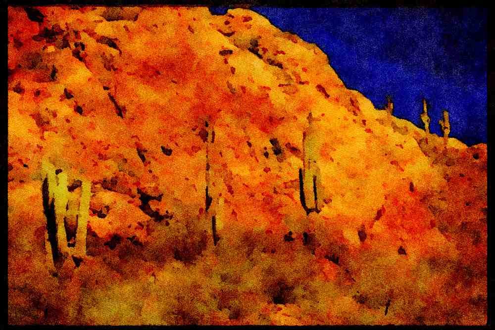 199092 Saguaro Cactus, Tonto National Forest, Apache Trail, Arizona A4 Limited Edition Watercolour Print