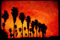 199095 Chusan Palms A4 Limited Edition Watercolour Print
