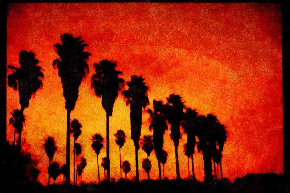 199095 Chusan Palms A4 Limited Edition Watercolour Print