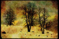 199096 Hill And Stormy Sky, Val Barrette, Quebec A4 Limited Edition Watercolour Print
