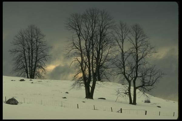 199096 Hill And Stormy Sky, Val Barrette, Quebec A4 Photo Print