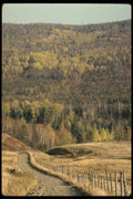 199097 St Placide De Charlevoix, Quebec A4 Photo Print