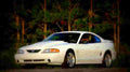 1995 Ford Mustang SVT Cobra R A4 Photo Print