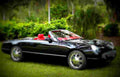 1999 Ford Thunderbird Concept Car A4 Photo Print