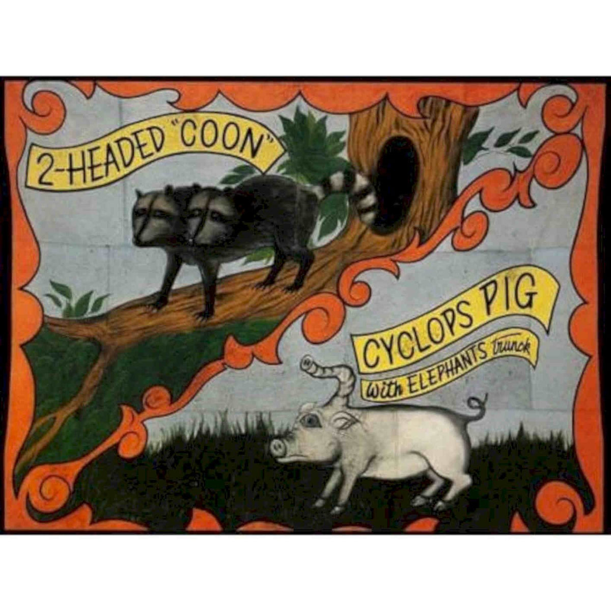 2 Headed Coon Circus Freak Show Vintage Retro Advert Poster A4 Photo Print