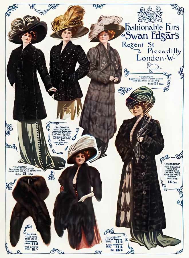 20 Swan Edgar Furs Vintage Advert A4 Photo Print