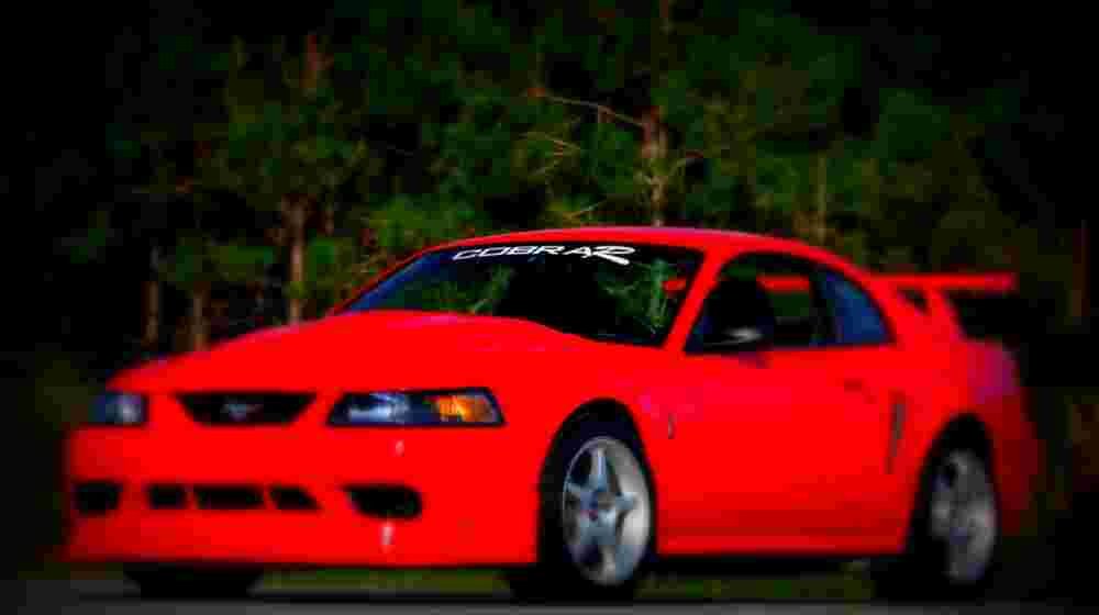 2000 Ford Mustang SVT Cobra R A4 Photo Print