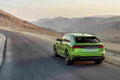 2021 audi rs q8 5 Car A4 Photo Print