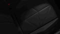 2021 ds 9 42 Car A4 Photo Print