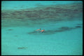 203011 Snorkelers, St. John A4 Photo Print