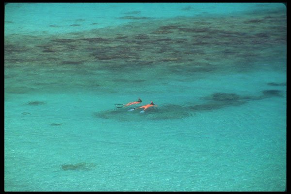 203011 Snorkelers, St. John A4 Photo Print