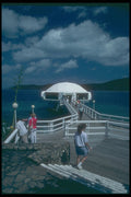 203021 Coral World, St. Thomas A4 Photo Print