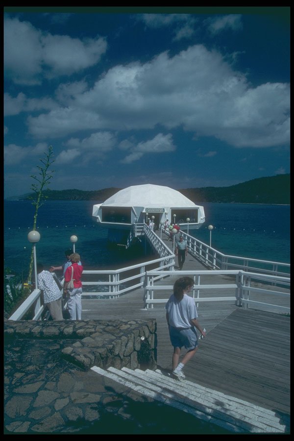 203021 Coral World, St. Thomas A4 Photo Print
