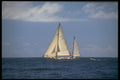 203033 Sailing In The US Virgin Islands A4 Photo Print