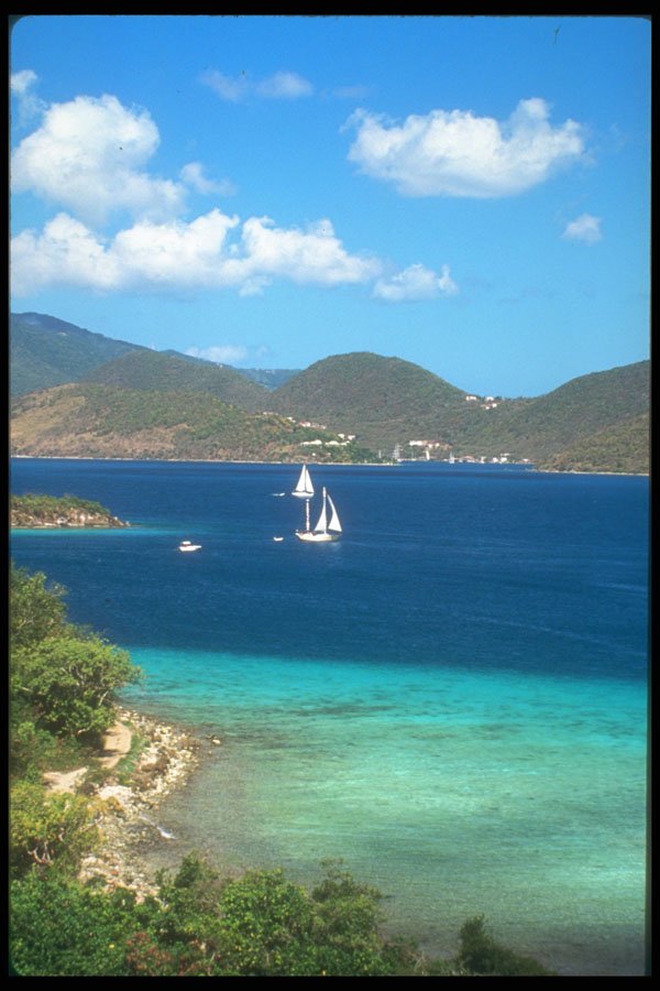 203034 Sailboats Near St. John A4 Photo Print