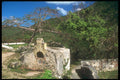 203041 Annenberg Plantation Ruins, St. John A4 Photo Print