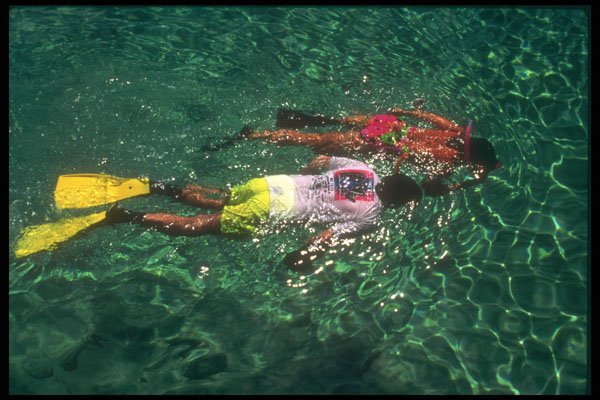 203068 Snorkelers, St. Thomas A4 Photo Print