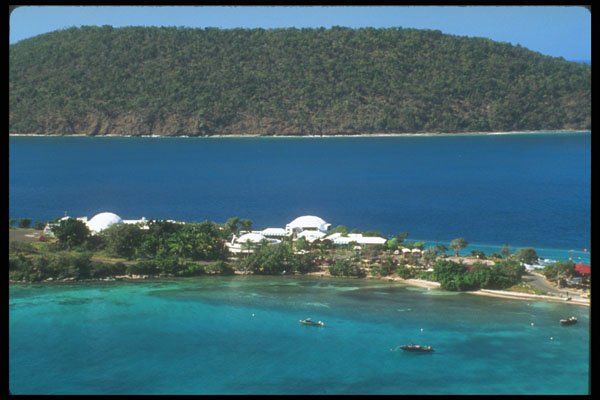203073 Coral World, St. Thomas A4 Photo Print